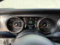 
										Jeep Gladiator 3.6l TEXAS TRAIL full									