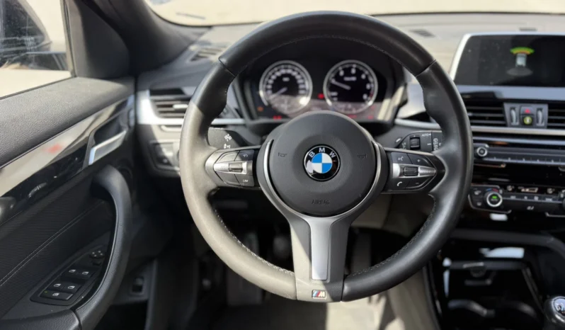 
								BMW X2 18d sDrive full									