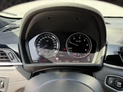 
										BMW X2 18d sDrive full									