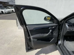 
										BMW X2 18d sDrive full									
