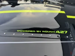 
										Ford Mustang SHELBY COBRA 7.0L ROUCH 427R full									