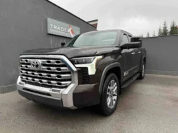 Toyota Tundra 1794 EDITION CREW MAX