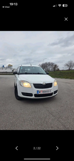 Skoda Praktik